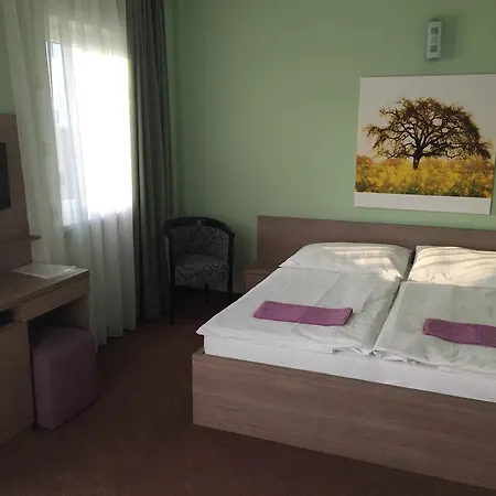 Wellness Pension Inovec Jalsove Room photo