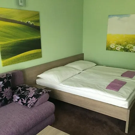 Wellness Pension Inovec Jalsove Room photo